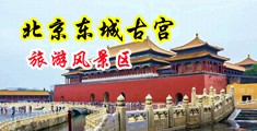 精液男孩视奸中国北京-东城古宫旅游风景区